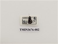 藏品(步行蟲(2))的圖片